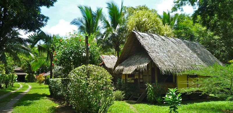 Alby Lodge Pictures (www.Cahuita.cr) - Loading...