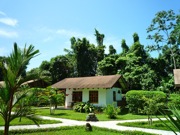suizoloco photo