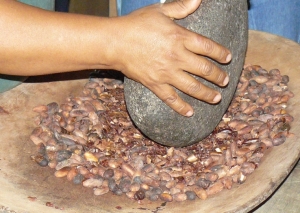 Cacao y Pueblo Indigena
