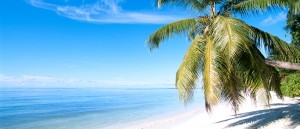 Playa y Palmera en el Parque Nacional Cahuita, Costa Rica