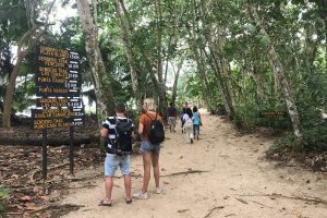 Sendero del Parque Nacional Cahuita
